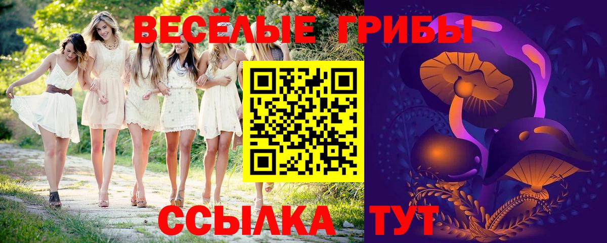 Псилоцибиновые грибы MAGIC MUSHROOMS Красноуфимск