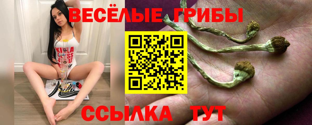 Красноуфимск  Псилоцибиновые грибы Psilocybine cubensis  Вход с VPN 